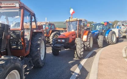 Protesta dei trattori, cortei in tutta Italia da Pescara a Enna