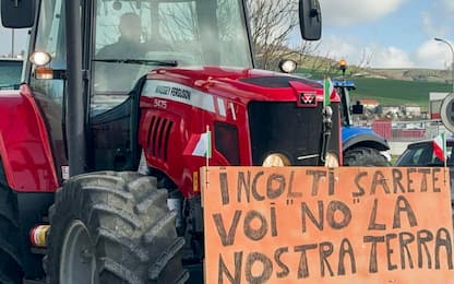 Protesta agricoltori, corteo di trattori in centro città a Napoli