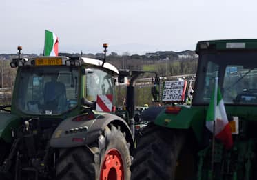 Protesta trattori, le 10 richieste degli agricoltori