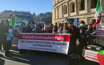 Trattori a Roma, Lollobrigida: "A Ue promemoria per modificare Pac"