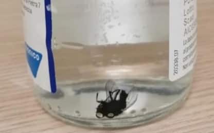 Foligno, insetto trovato in fiala di soluzione per flebo ospedaliera