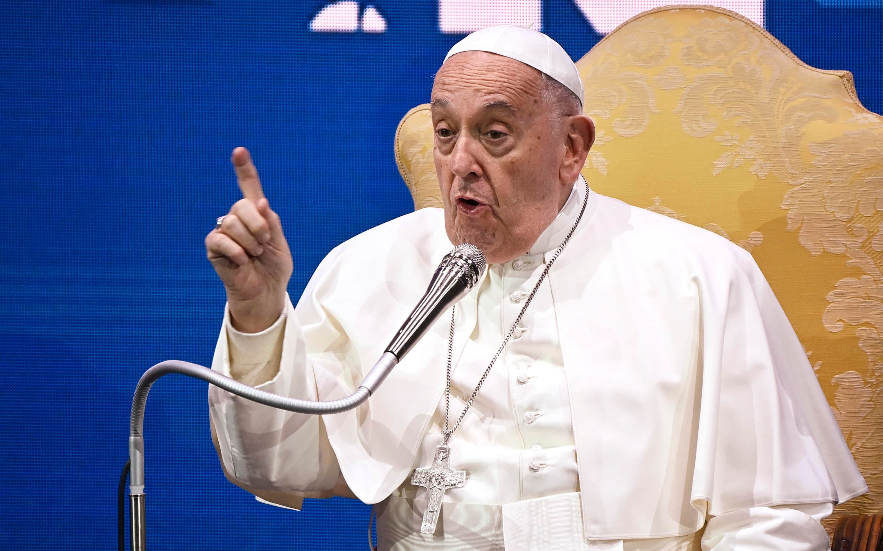 Papa Francesco durante il discorso