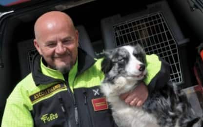 È morta Galassia, il cane soccorritore che ha salvato 4 persone