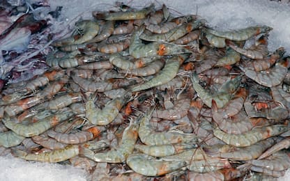 Rubò 15mila chili di crostacei: uomo in carcere dopo dieci anni