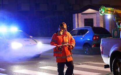 Caso di dengue a Trieste, scatta la disinfestazione