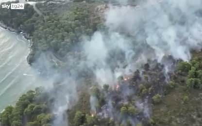 Vieste, incendio nel bosco della Baia San Felice: fiamme domate. VIDEO