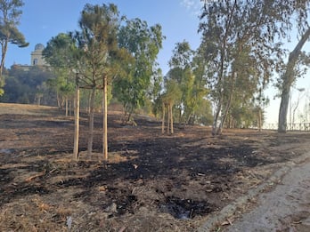 Roma, il giorno dopo l'incendio proseguono operazioni di spegnimento