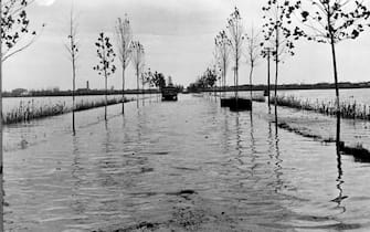 1951 - l'alluvione del Polesine.jpg-------------16 Novembre 1951-Polesine-Straripamento del Po a causa di un violento alluvione (zona Occhiobello)
ANSA ARCHIVIO/03367
