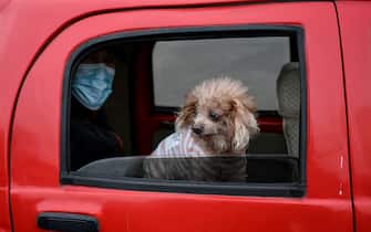 A man wearing a facemask sits in a car with his dog in Beijing on February 1, 2020. - China faced deepening isolation over its coronavirus epidemic as the death toll soared to 259, with the United States and Australia leading a growing list of nations to impose extraordinary Chinese travel bans. (Photo by NOEL CELIS / AFP) (Photo by NOEL CELIS/AFP via Getty Images)