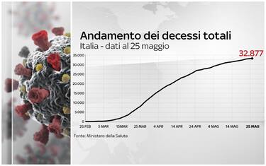 Coronavirus, grafiche