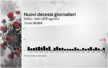 Coronavirus, grafiche