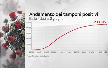 Coronavirus, grafiche