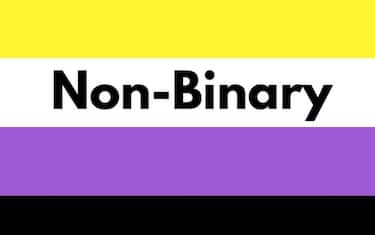 bandiera-non-binary-1-960x640