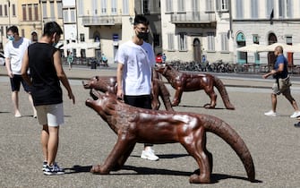 lupi, installazione, artista cinese liu ruowang, piazza pitti e L'installazione dal titolo 'I lupi in arrivo' dell'artista cinese Liu in Pazza Pitti e in Piazza Santissima Annunziata a Firenze, 13 Luglio 2020. ANSA/CLAUDIO GIOVANNINI