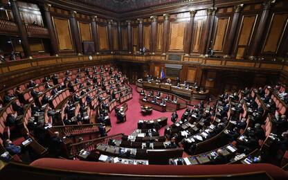Governo Draghi, al Senato nasce l'intergruppo M5S-Pd-Leu