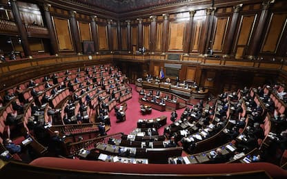Governo Draghi, al Senato nasce l'intergruppo M5S-Pd-Leu