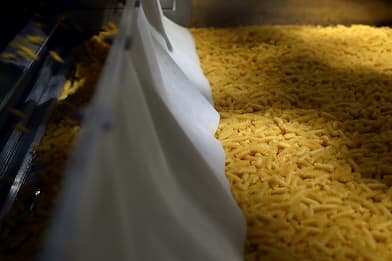 Barilla acquisisce stabilimento Pasta Zara a Muggia per 118 milioni