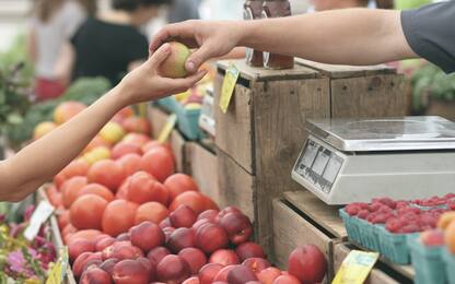 Coldiretti, gli italiani consumano sempre meno frutta e verdura