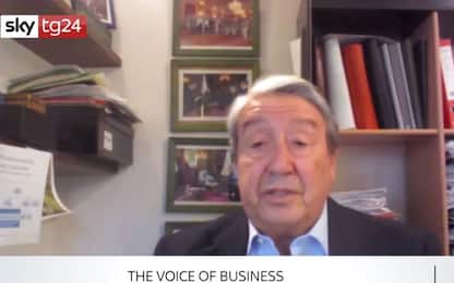 The voice of business, interview with Lucio Stanca