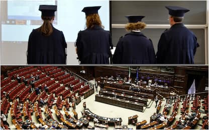Lauree abilitanti, Camera approva disegno di legge: cosa cambia