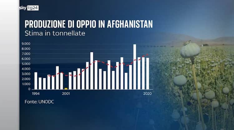 Oppio I Talebani Promettono Lo Stop L Afghanistan E Al Centro Delle Rotte Globali Dell Eroina