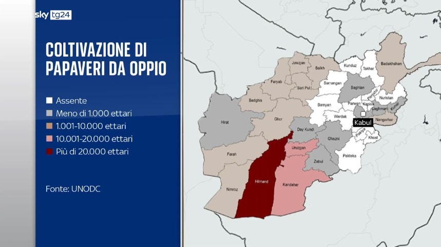 Oppio I Talebani Promettono Lo Stop L Afghanistan E Al Centro Delle Rotte Globali Dell Eroina