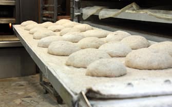 The Jubilee bread made with three different millstones of Lazio flour in the 'Forno delle Meraviglie' that adheres to the initiative: with two euros you buy the loaf and leave it to a more needy customer.  Rome, 12 November 2015. ANSA / MICHELA SUGLIA