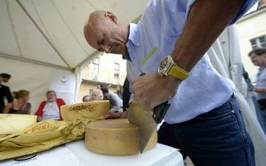 Latte e formaggi 100% italiani, in scadenza l'obbligo dell'etichetta