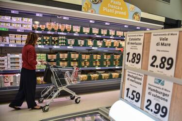 Carrello spesa lungo i banchi del supermercato - Apertura nuovo supermercato punto vendita  Lidl in via delle Forze Armate 314, Milano 1 Luglio 2020  Ansa/Matteo Corner