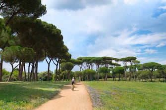 Park of Villa Pamphili. Rome. Lazio. Italy. (Photo by: Claudio Ciabochi/Education Images/Universal Images Group via Getty Images)