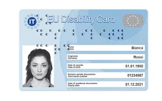 Facsimile disability  card fornito da stefani e tridico  notizie in rete