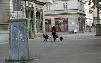 06 October 2020, Berlin: A dog sitter walks several dogs on a leash. Photo: Alexandra Schuler/dpa (Photo by Alexandra Schuler/picture alliance via Getty Images)