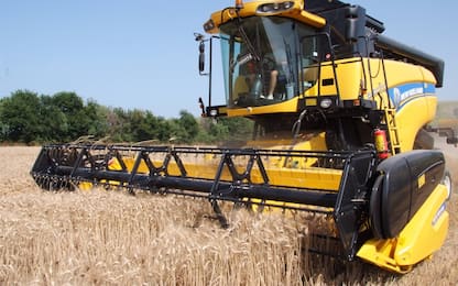 Guerra Ucraina, Mosca minaccia: "Stop export grano verso Europa e Usa"