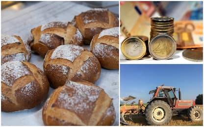 Le sanzioni della Russia all'Europa: dal prezzo di pane e pasta, le ripercussioni