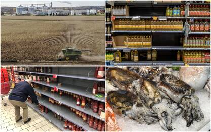 La guerra in Ucraina mette in crisi industria alimentare: cosa succede