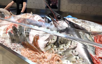 Sequestrati 200 chili di pesce in ristorante a Isola delle Femmine