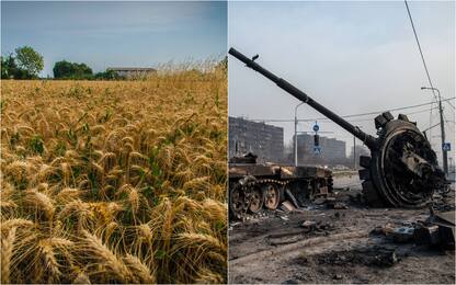 Guerra Ucraina, l’impatto del conflitto sull’agricoltura in Italia