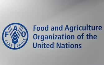 The logo of the Food and Agriculture Organization of the United Nations (FAO) agency of the United Nations is pictured within a plenary assembly for the election of the new FAO Director-General on June 23, 2019 at the FAO headquarters in Rome. - Candidates from China, France and Georgia are vying to head the UN's food agency, as the fight to eradicate world hunger takes a blow from global warming and wars. (Photo by Vincenzo PINTO / AFP)        (Photo credit should read VINCENZO PINTO/AFP via Getty Images)