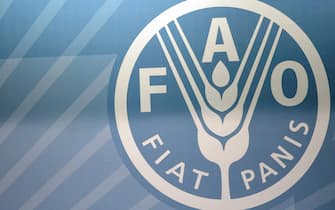 The Logo of the Food and Agriculture Organization (FAO) is seen at a conference room during a summit of the FAO in its headquarters on June 3, 2008 in Rome. AFP PHOTO/CHRISTOPHE SIMON (Photo credit should read CHRISTOPHE SIMON/AFP via Getty Images)