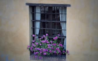 House Window with geranium and metal grate, Ponti sul Mincio