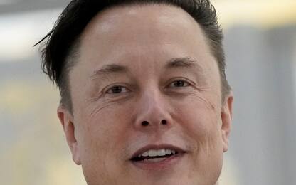 Elon Musk papà di due gemelli avuti con una dirigente di Tesla