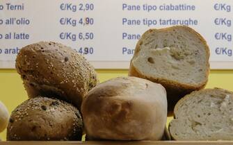 pane pane