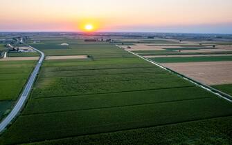 A drone view of corn fields at sunset in Castelnovo Bariano, Italy, on July 15, 2022 during the worst drought in 70 years. -A third od Italy's agricultural production is at risk due the drought and poor water infrastructure. Italian government declared the state of emergency in several northern regions because of a prolonged drought and accompanying heat wave that has dried up the Po River, a crucial artery for irrigation.  (Photo by Manuel Romano/NurPhoto via Getty Images)