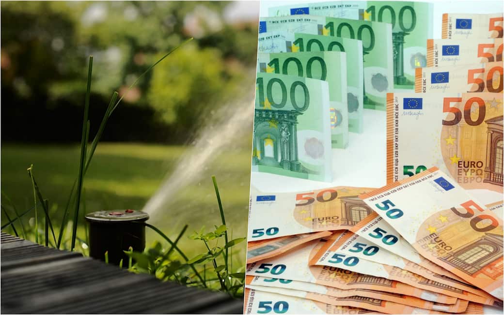 Bonus giardino 2022 ancora attivo ecco come funziona Sky TG24