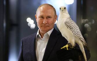 Russian President Vladimir Putin meets with volunteer ornithologists of the "Kamchatka" falcon centre in the far eastern city of Petropavlovsk-Kamchatskyi on September 5, 2022. (Photo by Gavriil GRIGOROV / SPUTNIK / AFP) (Photo by GAVRIIL GRIGOROV/SPUTNIK/AFP via Getty Images)
