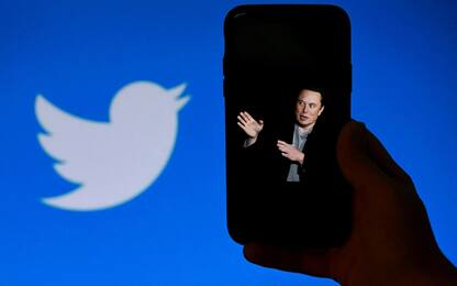 Twitter: Musk pensa di assumere nuovo ceo verso fine 2023