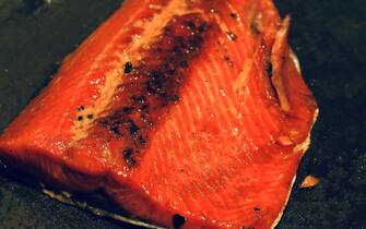 Salmon fish cooking