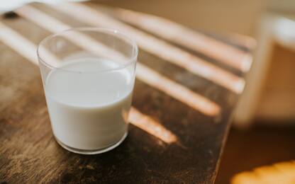 Latte, le migliori marche secondo "Il Salvagente": la classifica