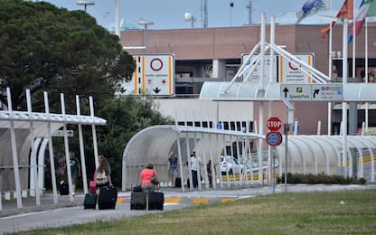 Venezia, l'aeroporto Marco Polo chiuso per invasione di gabbiani 
