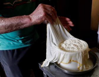 epa08468608 A shepherd covers a cheese with a cloth in Artaza, Navarra, Spain, 01 June 2020 (issued 06 June 2020). Shepherds in Artaza still make handmade cheese from the milk of these sheep, endemic to the region. After they have milked the animals, they strain the liquid, which is then fermented, thickened, shaped and covered with a cloth. After moulding, the piece is pressed for hours to remove the serum and then left to rest for several months in cabins with an average temperature. The result is a completely natural product that delights the palate.  EPA/Jesus Diges  ATTENTION: This Image is part of a PHOTO SET